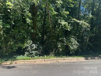 Lake Hickory Lot For Sale in Hickory North Carolina