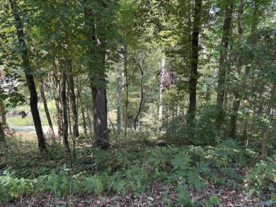 Lake Lot For Sale in Athens, Alabama