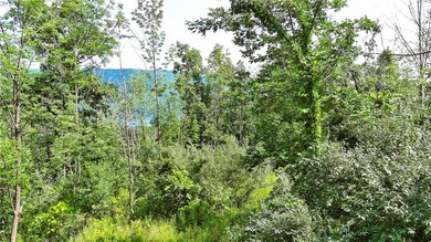 Here's your opportunity to build your dream home or vacation - photo 1