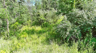 Here's your opportunity to build your dream home or vacation - photo 4