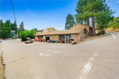 Lake Commercial For Sale in Rimforest, California