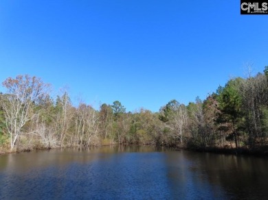 Lake Acreage For Sale in Newberry, South Carolina