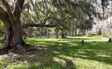 (private lake, pond, creek) Acreage For Sale in Arcadia Florida