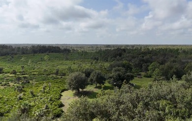 *The moment I stepped onto this land, I felt a connection to - photo 3