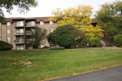 Lake Home For Sale in Homewood, Illinois