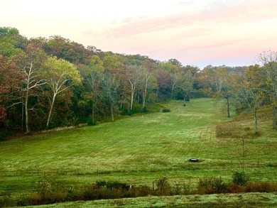 PRICE ENHANCEMENT! These beautiful, mostly unrestricted 121 - photo 2