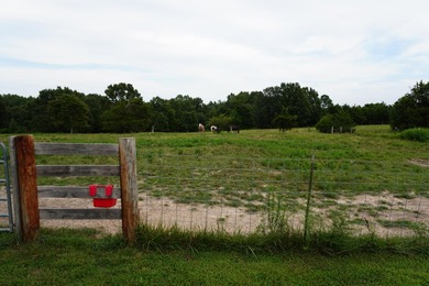 Welcome to your own slice of country paradise! This charming - photo 22