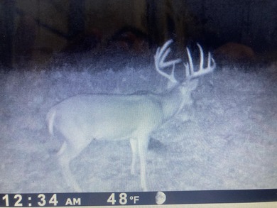PRICE ENHANCEMENT! These beautiful, mostly unrestricted 121 - photo 10