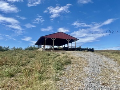 Farmers, Investors, and Homesteaders - Take Notice! Welcome to - photo 36