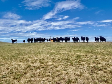 Farmers, Investors, and Homesteaders - Take Notice! Welcome to - photo 48