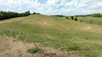 Farmers, Investors, and Homesteaders - Take Notice! Welcome to - photo 53