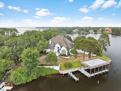 Exquisite Waterfront Oasis on Joe's Bayou *No HOA*** Experience - photo 1