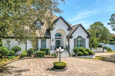 Exquisite Waterfront Oasis on Joe's Bayou *No HOA*** Experience - photo 4