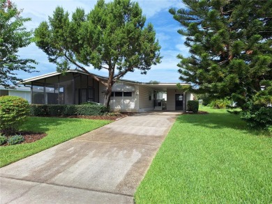 Lake Harris Home For Sale in Tavares Florida