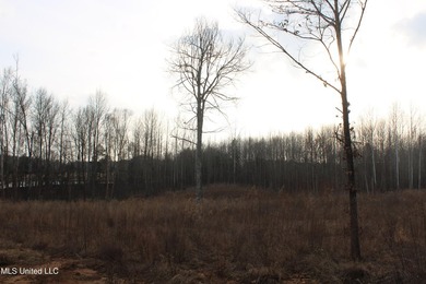 7.82 acres located south of Highway 78 between Red Banks and - photo 11