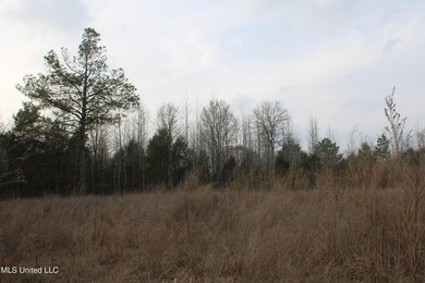 7.82 acres located south of Highway 78 between Red Banks and - photo 12