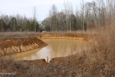 7.82 acres located south of Highway 78 between Red Banks and - photo 13