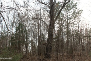 7.82 acres located south of Highway 78 between Red Banks and - photo 14