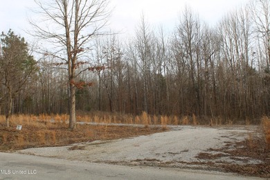 7.82 acres located south of Highway 78 between Red Banks and - photo 15
