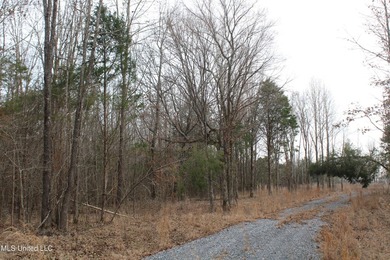 7.82 acres located south of Highway 78 between Red Banks and - photo 16