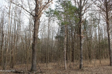 7.82 acres located south of Highway 78 between Red Banks and - photo 18