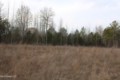 7.82 acres located south of Highway 78 between Red Banks and - photo 19