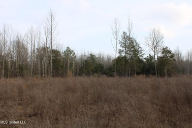 7.82 acres located south of Highway 78 between Red Banks and - photo 20