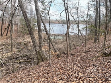 Waterfront lot in desirable Edgewater on Lake Tillery.  - Lake Lot For Sale in Norwood, North Carolina