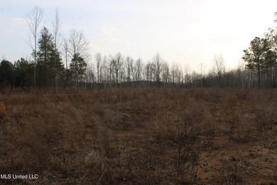 7.82 acres located south of Highway 78 between Red Banks and - photo 22