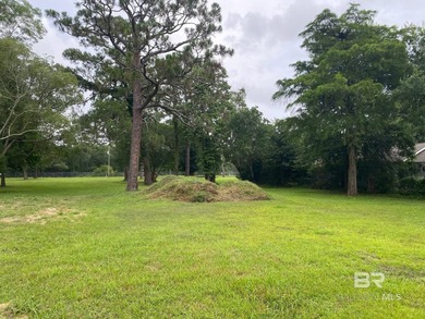 Vacant lot ready for your vision! One of six vacant lots - photo 2