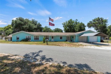 Lake Home For Sale in Lake Panasoffkee, Florida