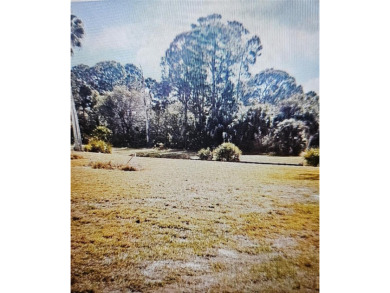 Look no further- this is the perfect location for you to build - photo 3