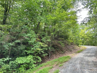 ARE YOU LOOKING FOR A WOODED LOT? BRING YOUR PLANS AND YOUR - Lake Lot For Sale in Lake Lure, North Carolina