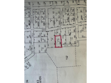 Ossipee Lake  Lot For Sale in Freedom New Hampshire