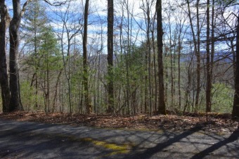 Lake Santeetlah Lot For Sale in Robbinsville North Carolina