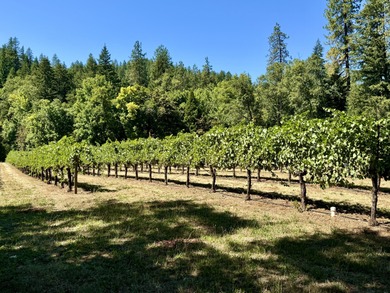 (private lake, pond, coastal) Home Sale Pending in Cave Junction Oregon