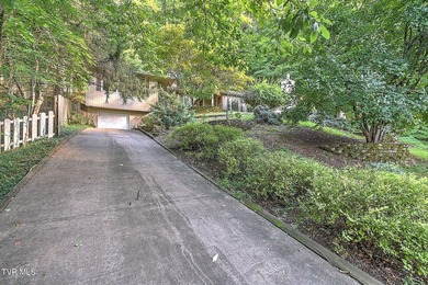 Welcome to your own private retreat in the heart of Kingsport! - photo 1