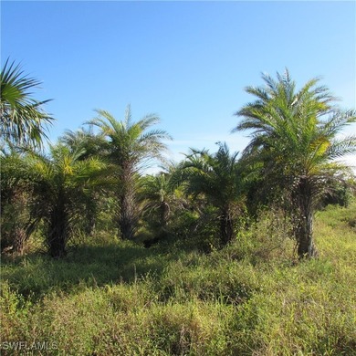 38 acres Total.. 2 parcels, 1 acre lot on stringfellow, 37 acre - photo 3