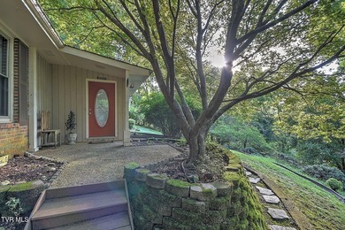 Welcome to your own private retreat in the heart of Kingsport! - photo 3