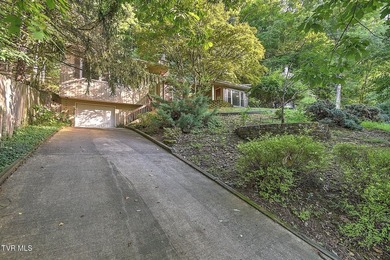 Welcome to your own private retreat in the heart of Kingsport! - photo 6