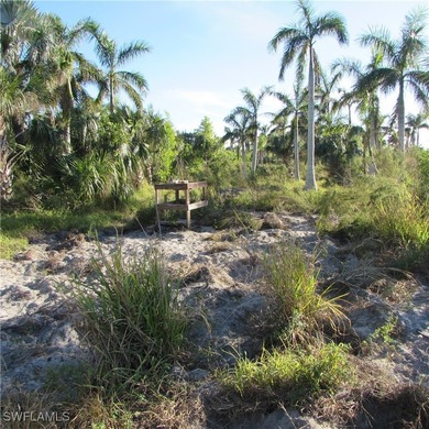 38 acres Total.. 2 parcels, 1 acre lot on stringfellow, 37 acre - photo 8