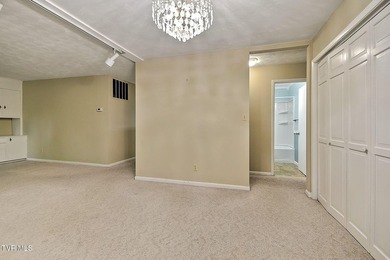 Welcome to your own private retreat in the heart of Kingsport! - photo 10
