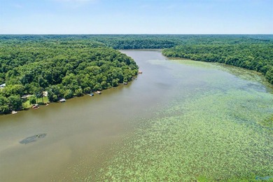 Enjoy relaxed waterfront living where Sugar Creek meets the Elk - photo 46
