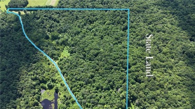 Welcome to Rabbit Path Hideaway --- Gorgeous wooded 26 +/- acres - photo 2