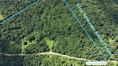 Welcome to Rabbit Path Hideaway --- Gorgeous wooded 26 +/- acres - photo 3