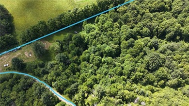 Welcome to Rabbit Path Hideaway --- Gorgeous wooded 26 +/- acres - photo 7