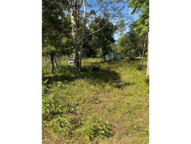 Martin Lake Lot For Sale in Linwood Twp Minnesota