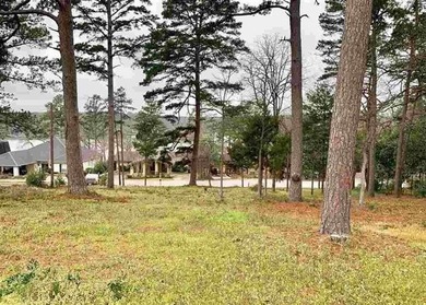 Hideaway Lake Lot For Sale in Hideaway Texas