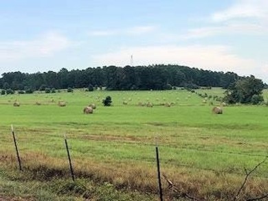  Acreage For Sale in Palestine Texas