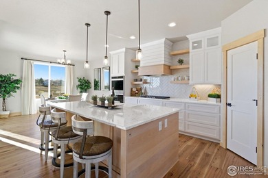 Now Available - Model Home leaseback opportunity! The Sophia 55 - photo 11